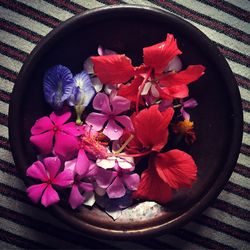 Directly above shot of flowers in bowl