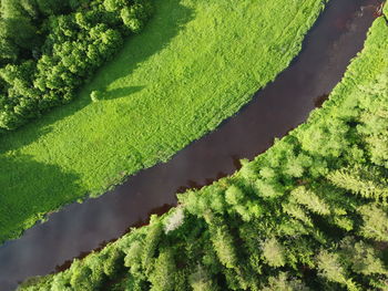 High angle view of agricultural field