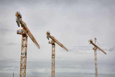 Des grues toulousaines 