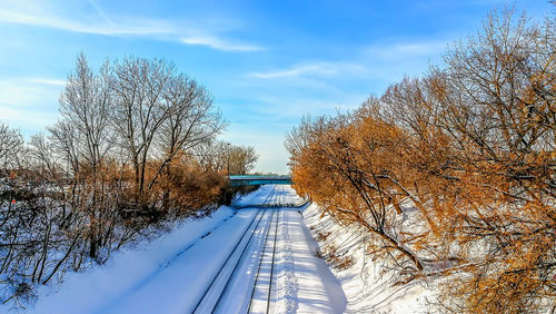 Snow covered plants by trees against sky