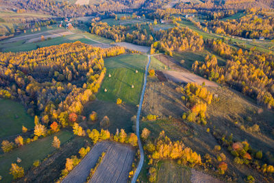 Aerial picture of a countryside village road, agricultural fields, forest. transylvania, romania