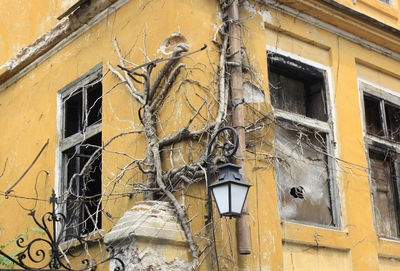 Low angle view of damaged building