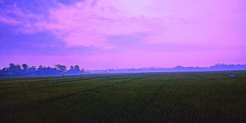 Scenic view of field against sky during sunset