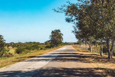 Empty road along trees and plants against sky