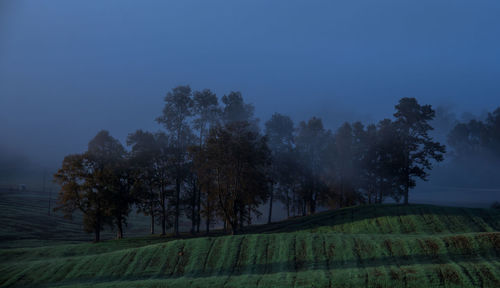 Scenic view of grassy field against clear sky