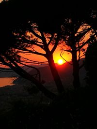 Silhouette trees against sky during sunset