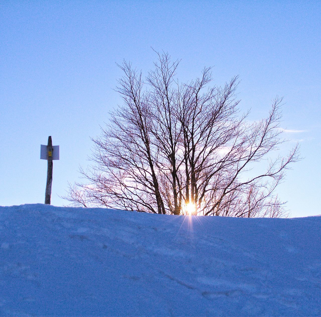 BARE TREE ON SNOW COVERED FIELD AGAINST SKY