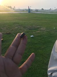 Cropped image of hand holding grass on field