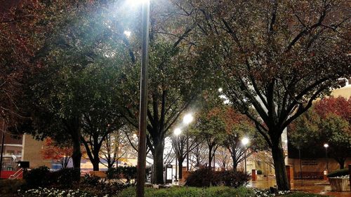 Illuminated street light at night