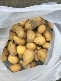 High angle view of fruits in container