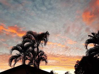 Low angle view of silhouette coconut palm tree against romantic sky