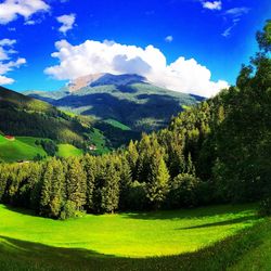 Scenic view of grassy field against cloudy sky