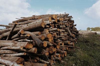 Stack of logs on field