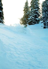 Scenic view of snow covered landscape