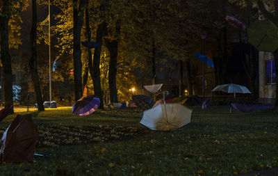 People relaxing in park at night