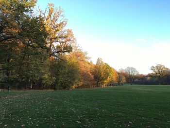Trees on field against sky during autumn