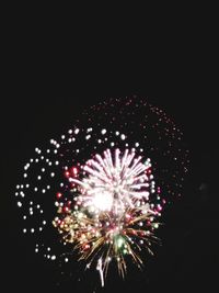 Low angle view of firework display at night