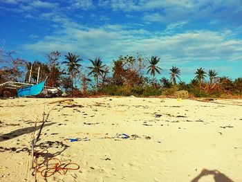 Palm trees against blue sky