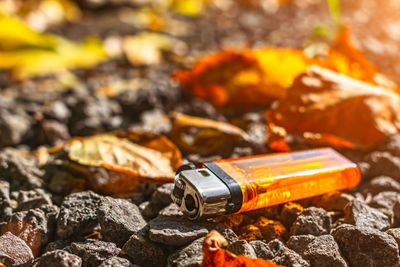 Orange lighter lies on stones among fallen leaves