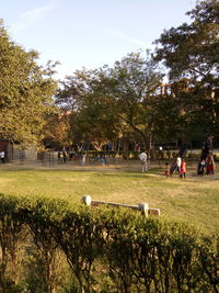People playing soccer on field against trees