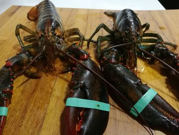 Close-up of crab on table