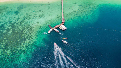 High angle view of people swimming in sea