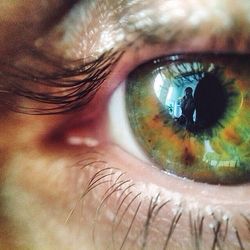 human eye