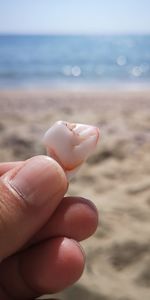 Cropped hand holding tooth at beach