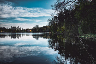 Scenic view of lake in forest against sky