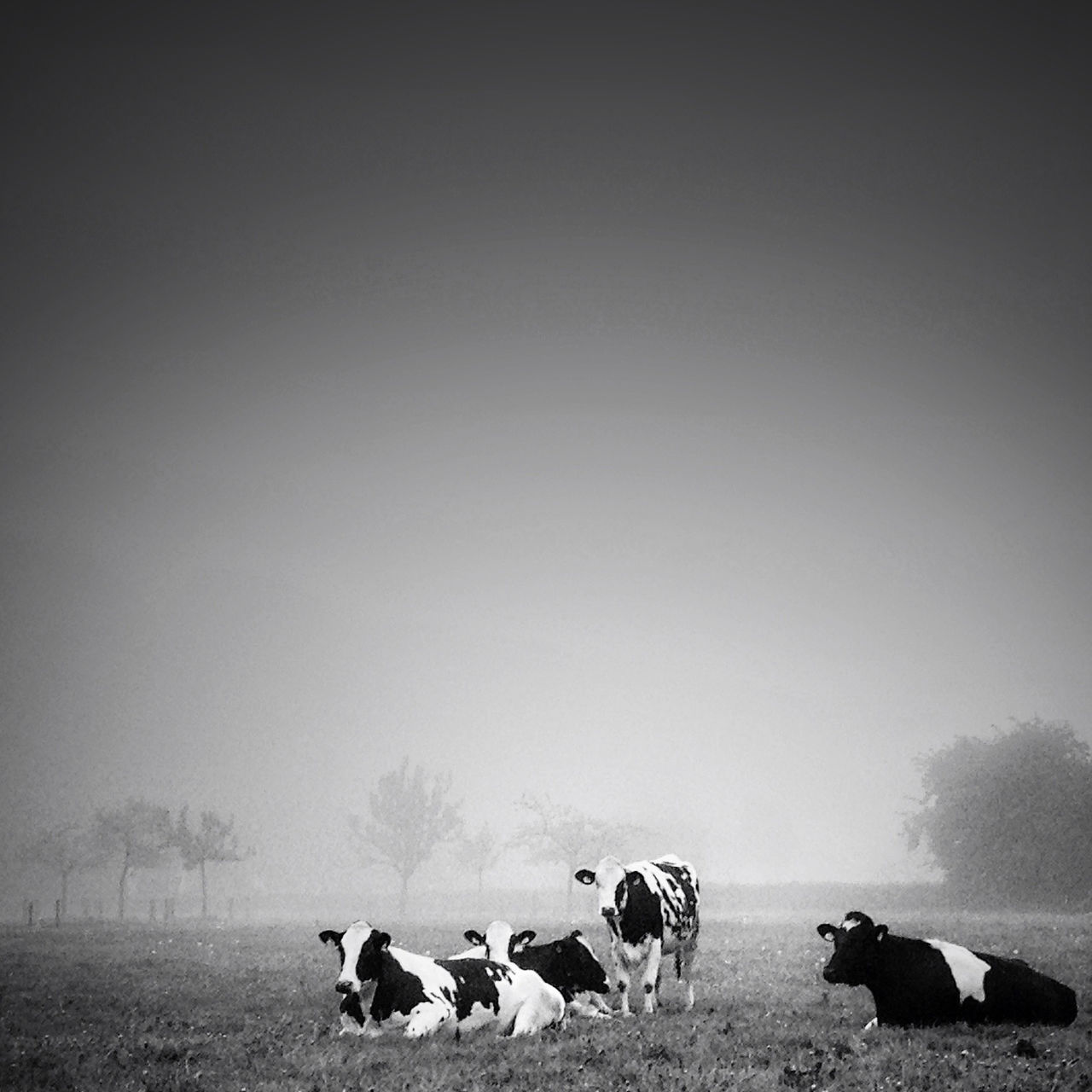 men, copy space, lifestyles, togetherness, leisure activity, sitting, field, person, relaxation, clear sky, large group of people, landscape, domestic animals, nature, day, rear view, outdoors, grass