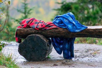 Close-up of man relaxing on wood