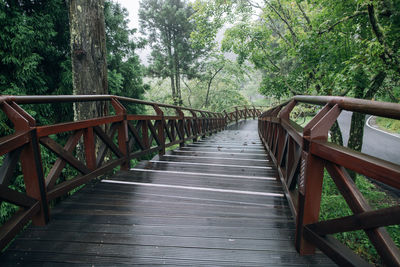 Wooden footbridge in forest