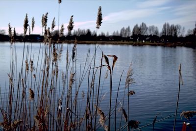 Scenic view of lake against sky