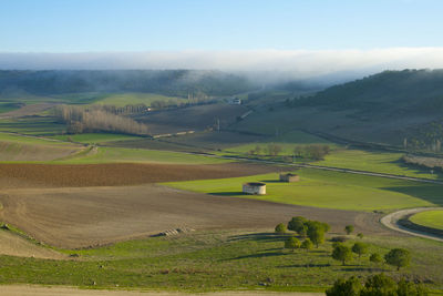 Scenic view of agricultural field against sky