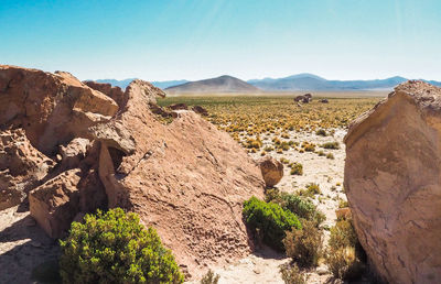 Scenic view of landscape against clear sky