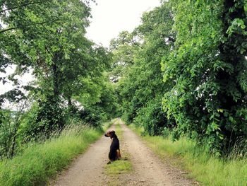 People walking on footpath