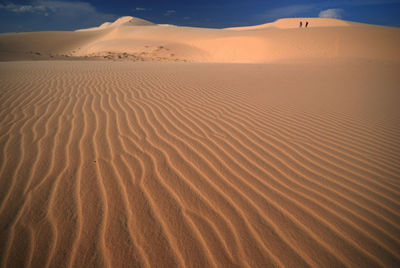 Distance shot of people walking at desert