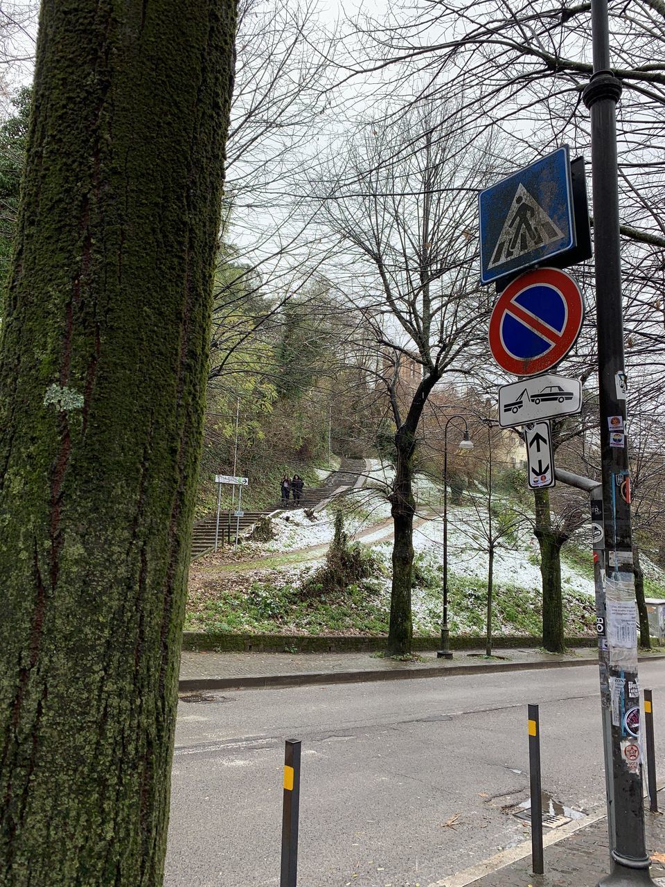 plant, day, built structure, no people, architecture, tree, sign, nature, urban area, bare tree, building exterior, road sign, outdoors, communication, low angle view, road, wall, transportation