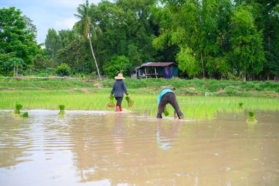 Rear view of people on lake against trees