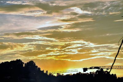 Low angle view of silhouette trees against sky during sunset