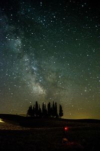 Silhouette trees against sky at night