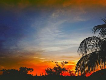 Silhouette palm trees against sky during sunset