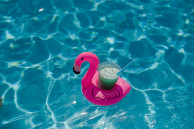 High angle view of toy floating on swimming pool