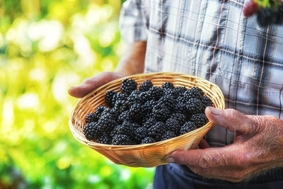 A man harvests