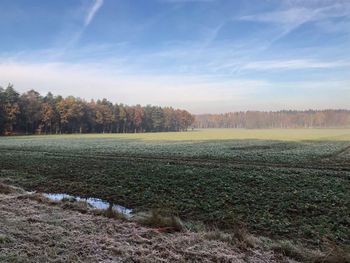 Scenic view of field against sky