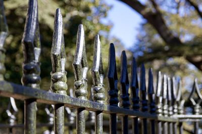 Close-up of metal fence