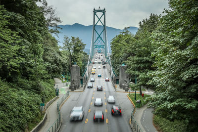 Cars on road amidst trees against sky