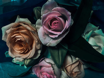 High angle view of rose bouquet