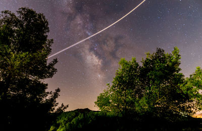 Low angle view of trees against sky at night