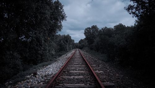 Railroad tracks amidst trees against sky